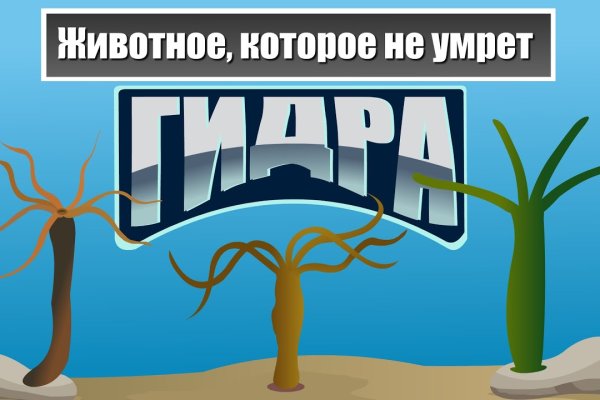 Ссылка на омг через тор